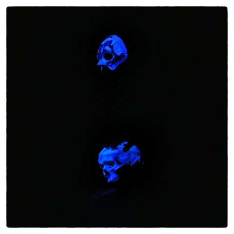 sor-foproba-memlaur-imre-13327