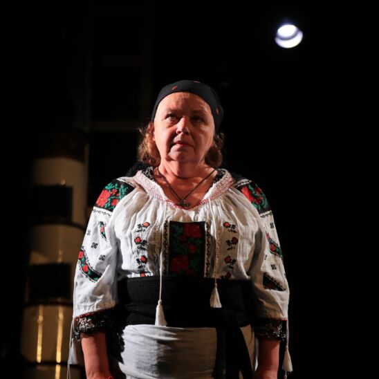 Csonka Ibolya Hajnal hasad előadásfotó