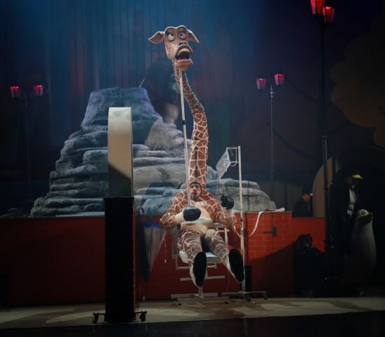 Kisari Zalán Madagaszkár előadásfotó