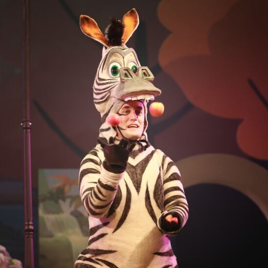 Benedek Dániel Madagaszkár előadásfotó