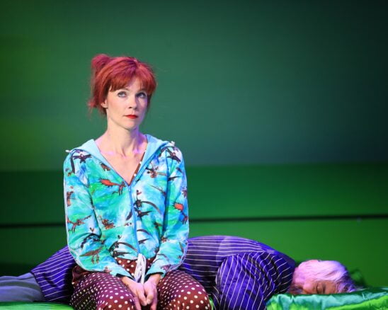 Krajcsi Nikolett A képzelt beteg előadásfotó