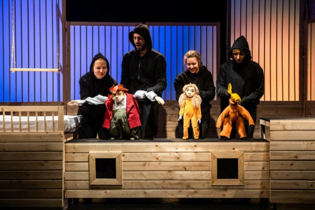 Kócos1_Hirling Bálint