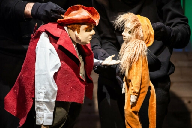 Kócos2_Hirling Bálint